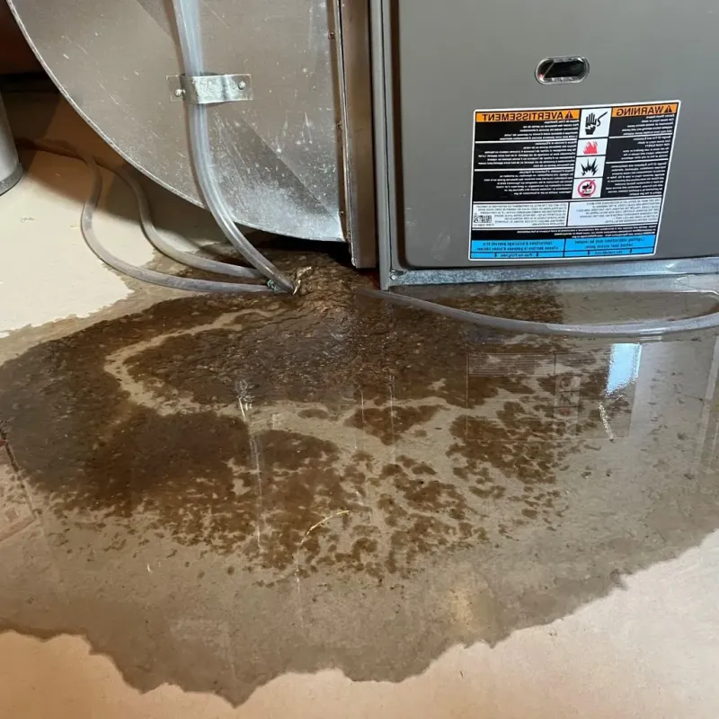 Pipe Burst and Leak Restoration in Beaver Dam, KY