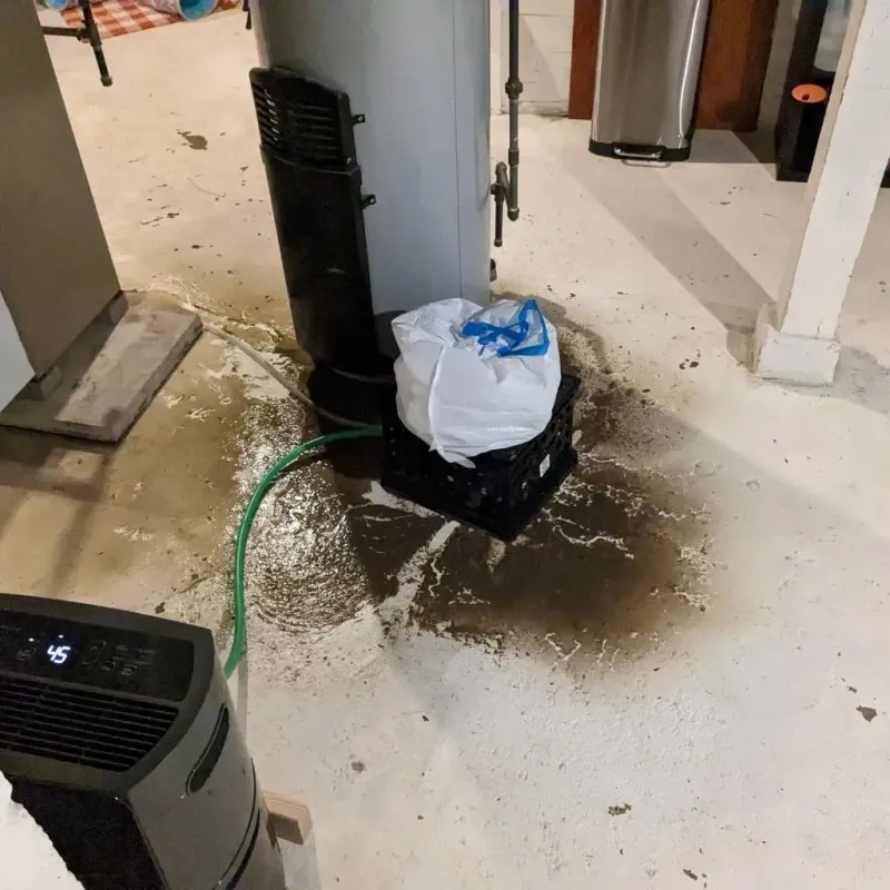 Sewage Backup Cleanup Service in Beaver Dam, KY